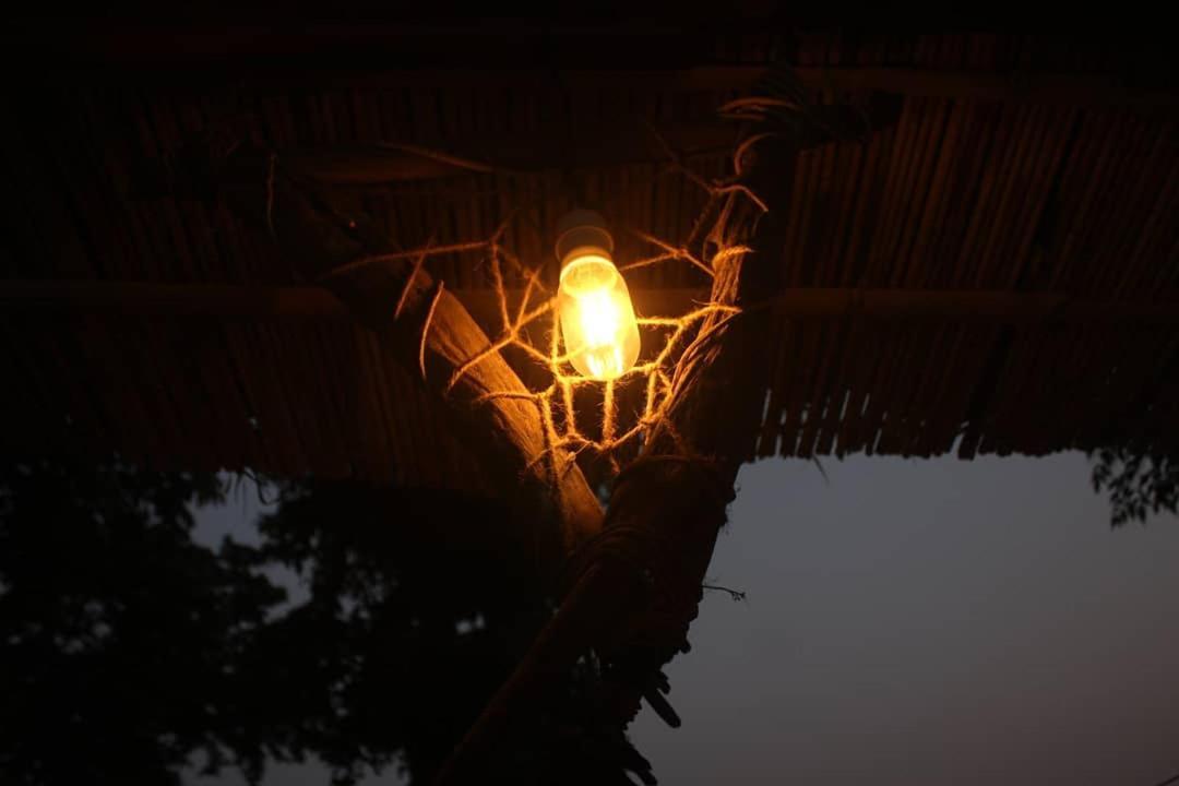 Happy Lemon Tree Lodge Sauraha Exteriér fotografie