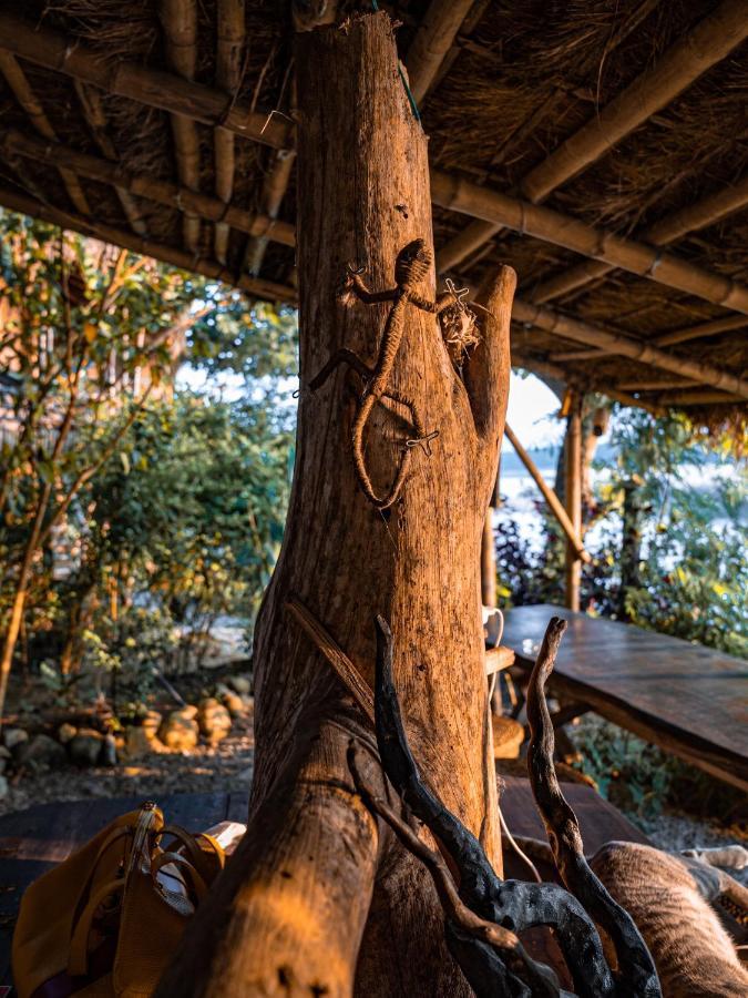 Happy Lemon Tree Lodge Sauraha Exteriér fotografie