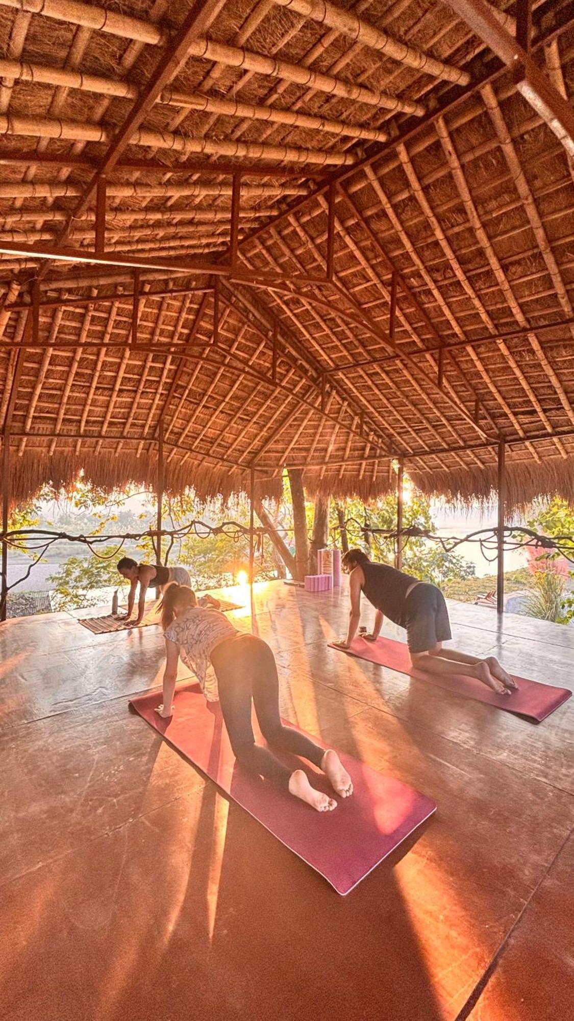 Happy Lemon Tree Lodge Sauraha Exteriér fotografie