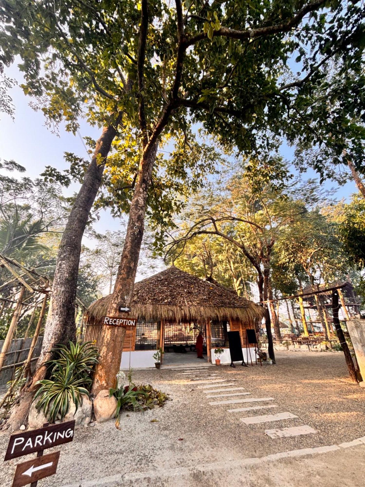 Happy Lemon Tree Lodge Sauraha Exteriér fotografie