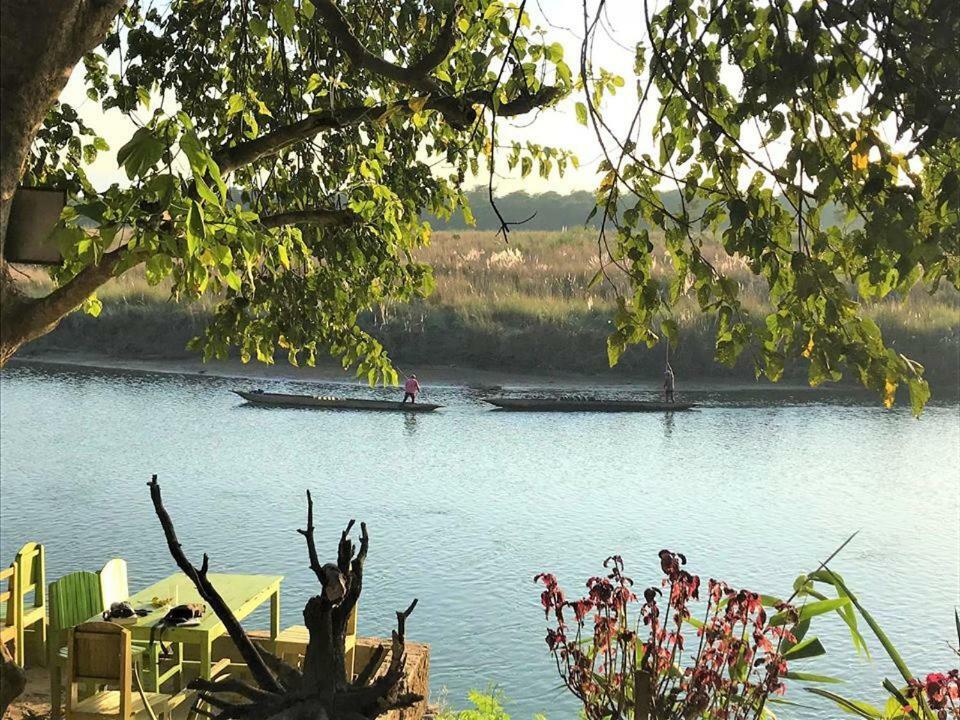 Happy Lemon Tree Lodge Sauraha Exteriér fotografie